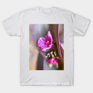 Macro Purple T-Shirt